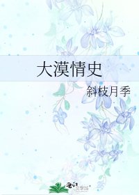 大漠情史