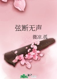 弦断无声